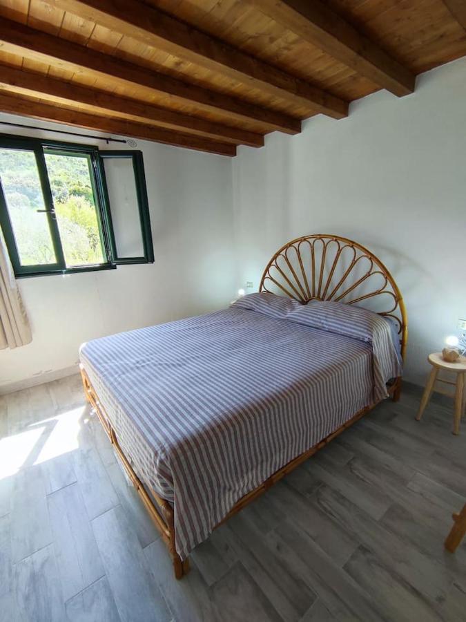 Villa Ulivella Schifoni Buitenkant foto