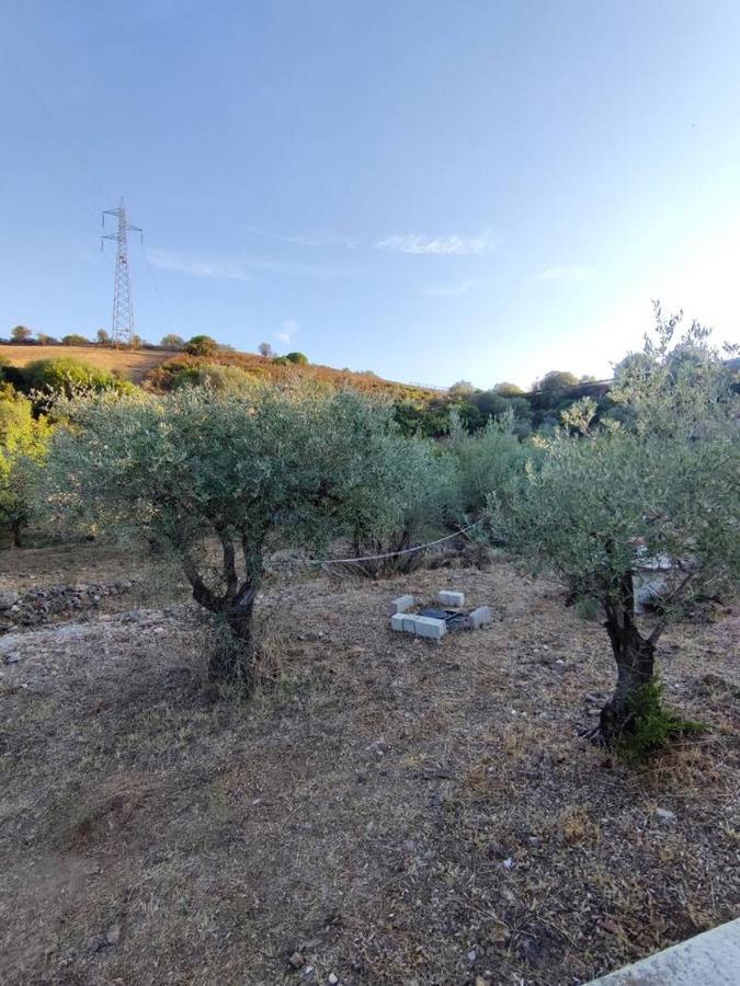 Villa Ulivella Schifoni Buitenkant foto