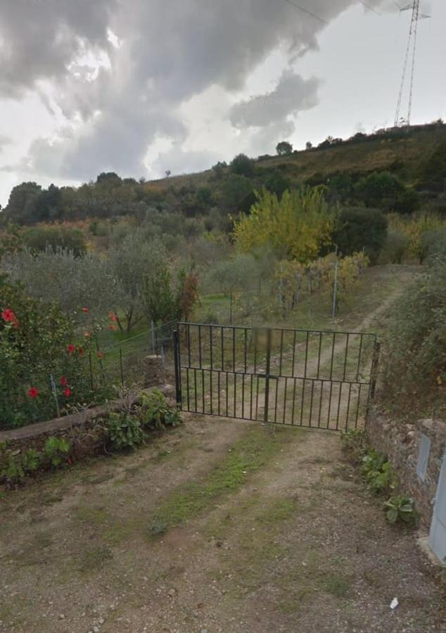 Villa Ulivella Schifoni Buitenkant foto