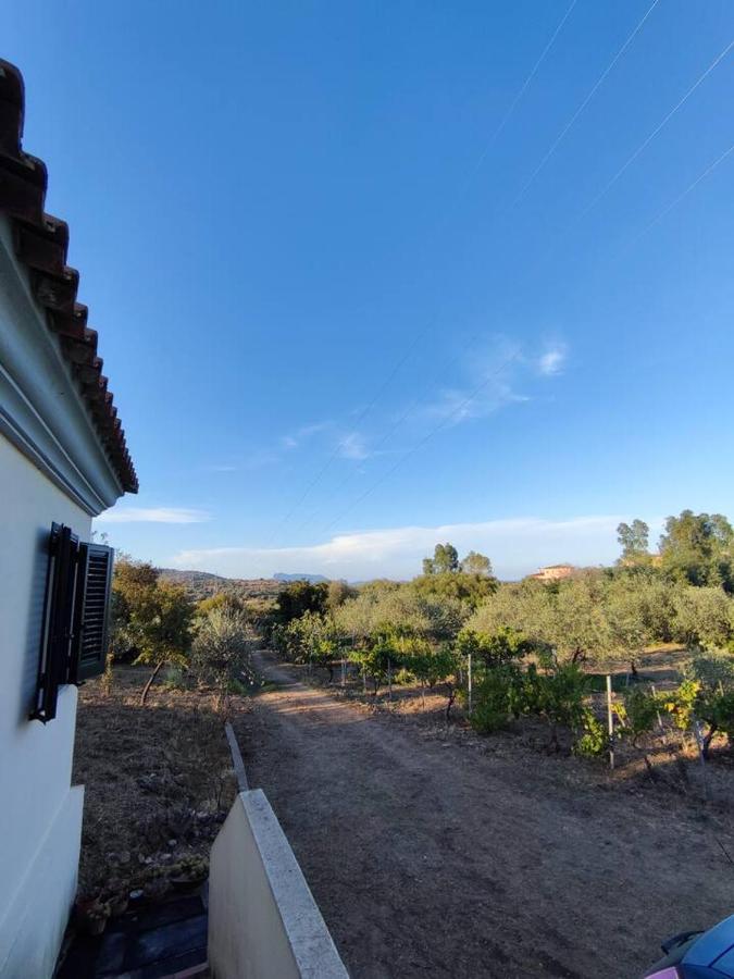 Villa Ulivella Schifoni Buitenkant foto